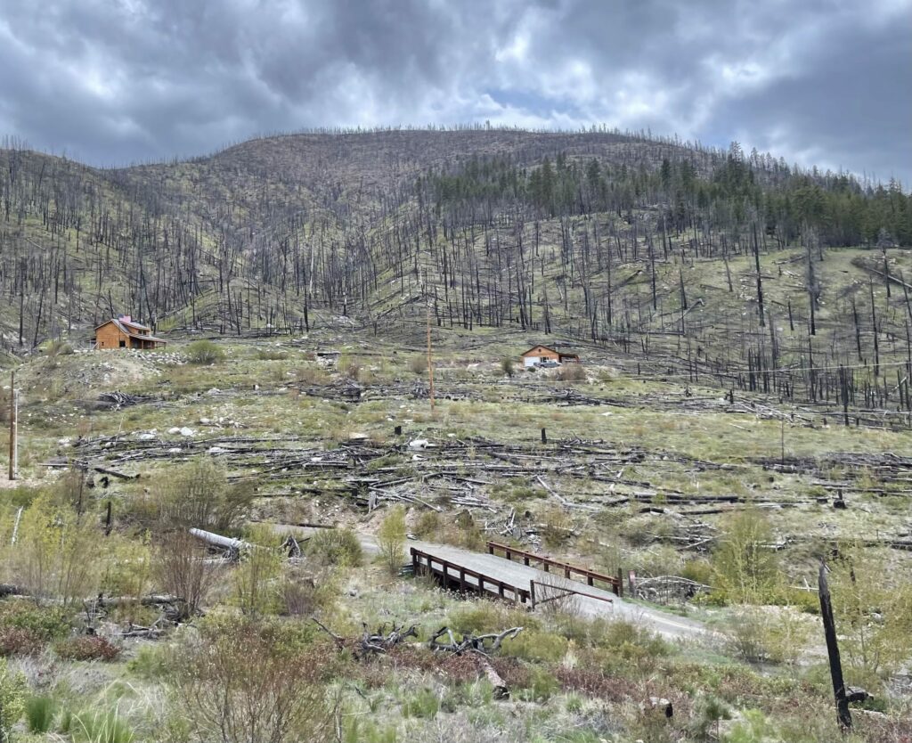 National-Forests-Wildfire