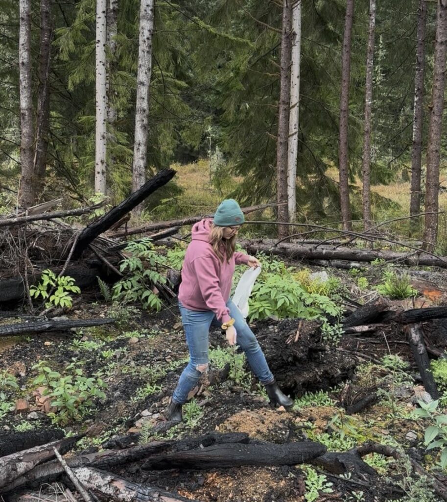 Hampton-North-Cascades-Pollinator-Project